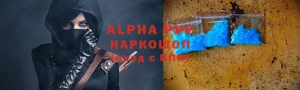 СК Медногорск
