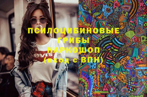 СК Медногорск
