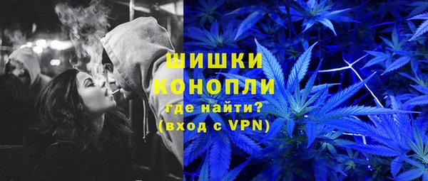 молекула духа Мегион