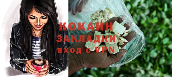 молекула духа Мегион