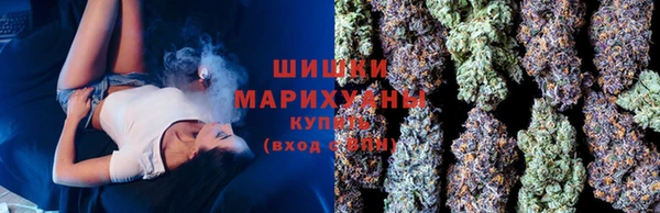 молекула духа Мегион