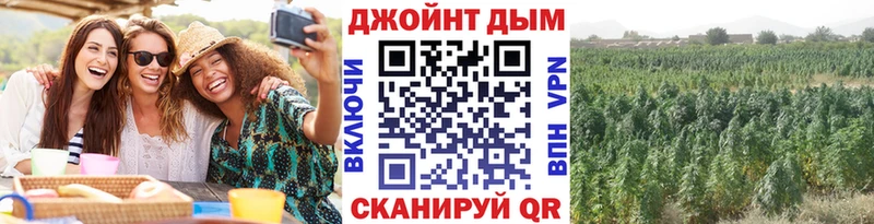 магазин    hydra зеркало  Каннабис планчик  Рыльск 